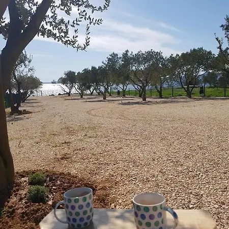 Relax Camp *