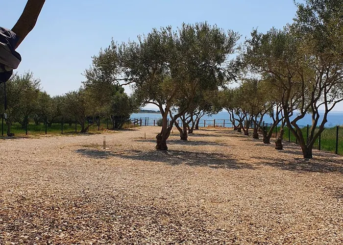 Relax Camp Кемпинг Пакоштане